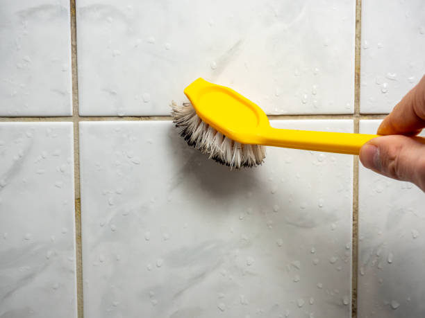 Best Home Mold Removal  in Woodlawn, MD